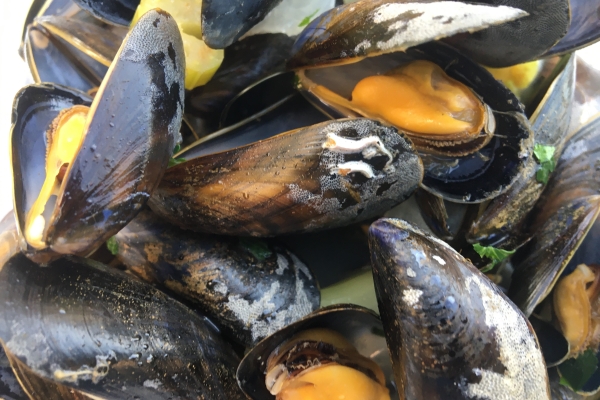 Moule Bouchau, Céleri, échalotte