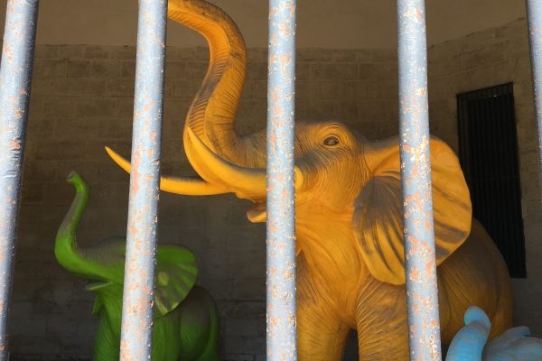 bestaunt hinter Gittern
