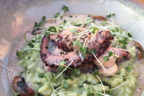 Zarter Pulpo