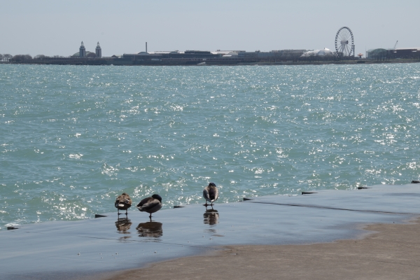 des Wassers,