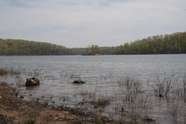 Am Lake Wappapello