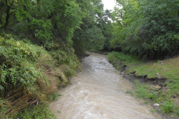 Der Bach wird zum Fluss