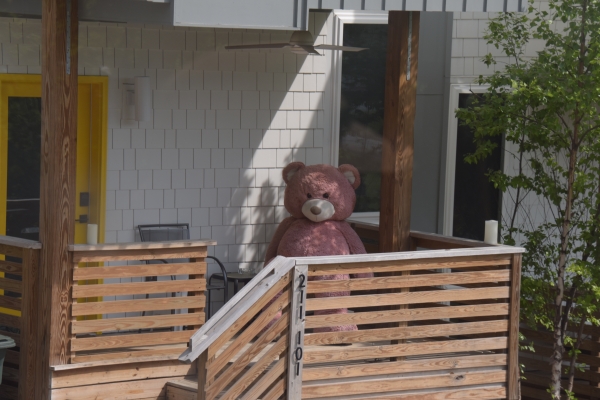 Bären auf der Terrasse