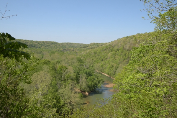 Der Green River gräbt sich die Schlucht