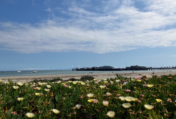 mit Blick auf den Wharf