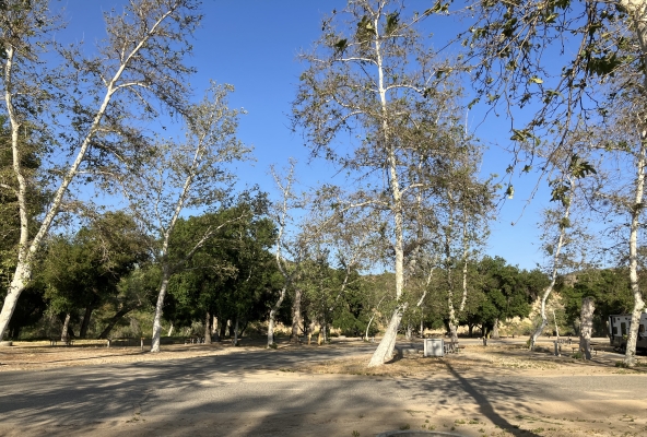 Auf dem verwaisten Campingplatz