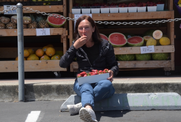 Erdbeeren in Carlsbad