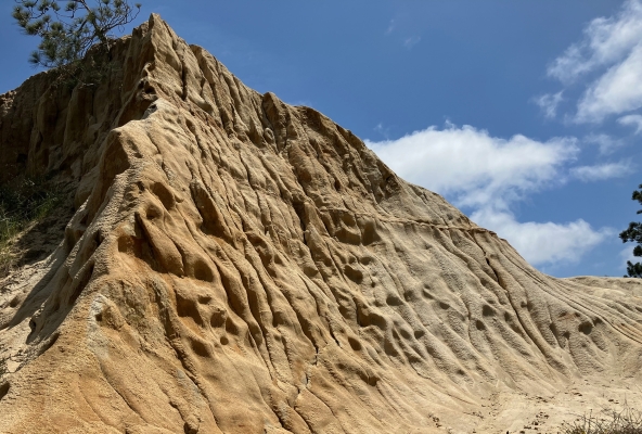 in felsiger Landschaft