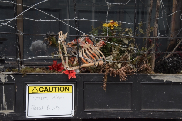 Die Warnung am Fenster