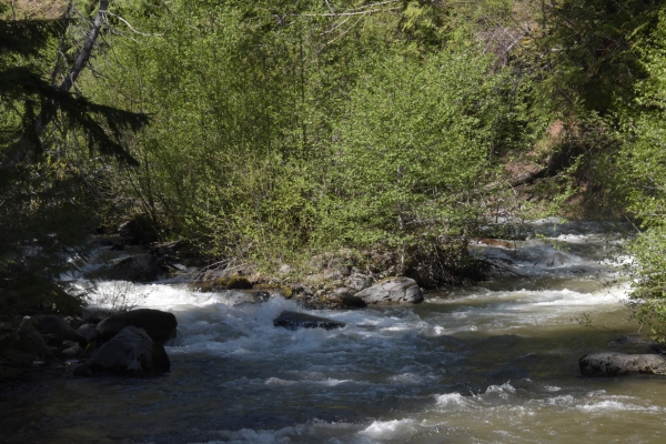 und seine wilden Wasser