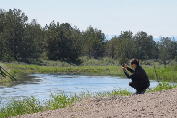 finden Interesse der Fotografin