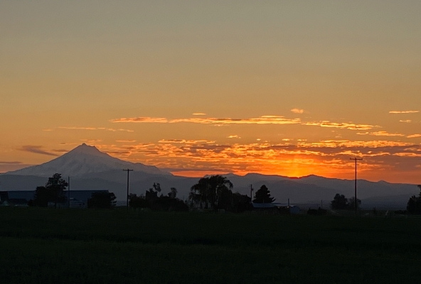 bevor die Sonne verschwindet