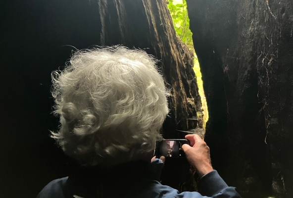 Bilder gibt's auch aus dem Baum