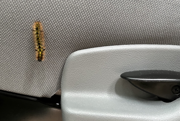 oder im Auto mitfahrend