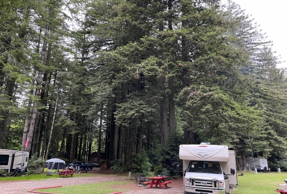 Das Wohnmobil unter Redwoods