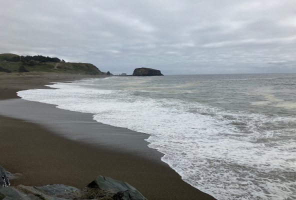 Der schwarze Sandstrand am Pazifik