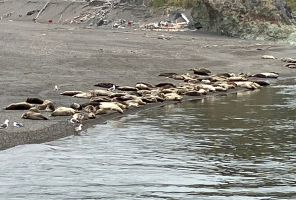und beim Warten im Kreissaal